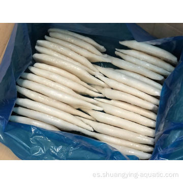 Tubo de calamar calamares congelados de buena calidad U10 70%NW